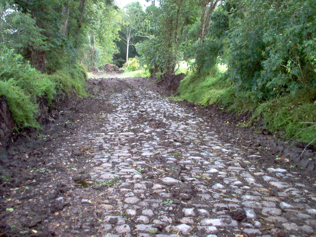 20110000 LA PAVÉE Pont-Farcy 28-2.jpg - IM000293.JPG